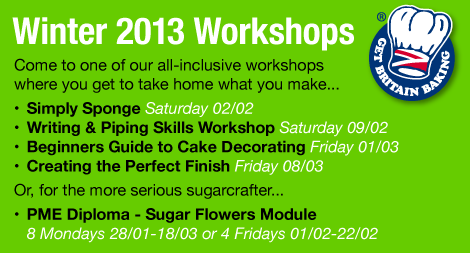 Winter Cake Decorating Classes