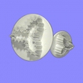 PME 3-Leaf Holly Plunger Cutter (Set of 2)