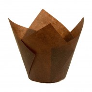 Tulip Cases Chocolate Brown x50