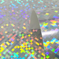 Mirror Card Holo Check