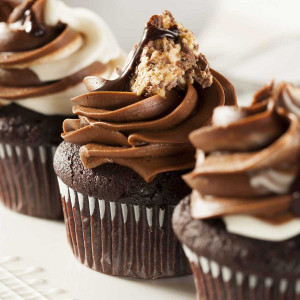 Frosting Chocolate 800g Pail Frosting Chocolate 800g Pail