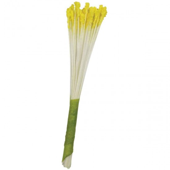 Bonzos Stamens Lily Yellow x30