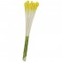 Stamens Lily Yellow x30