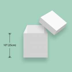 Cake Box Tall 10” Cube