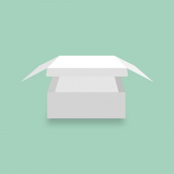 Folding Cake Box 8"x8"x3" x250