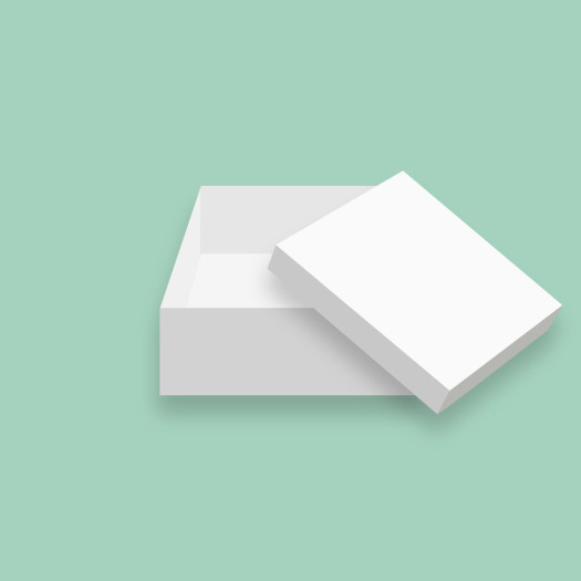Bonzos Cake Box 12" White