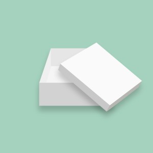 Cake Box 13" White Cake Box 13" White