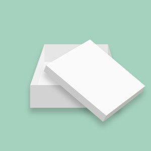 Cake Box 16" White Cake Box 16" White