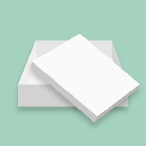 Cake Box 20" White Cake Box 20" White