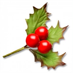 Holly Sprig of Leaves & Berries
