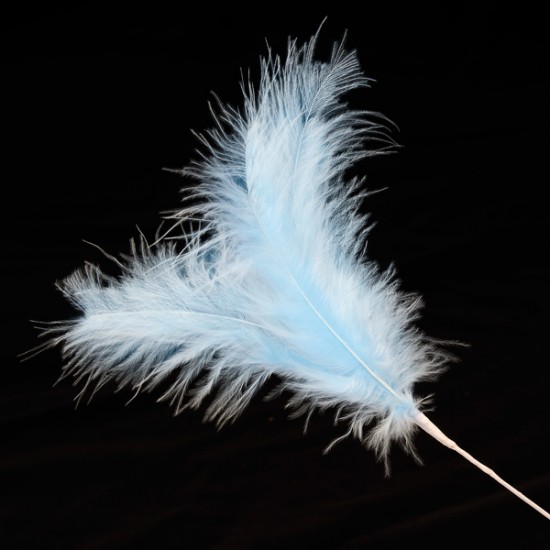 Bonzos Feathers Spray Blue