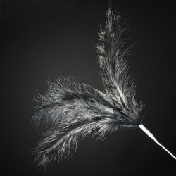Feathers Spray Black