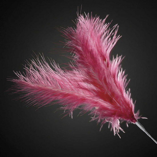 Club Green Feathers Spray Fuchsia x5