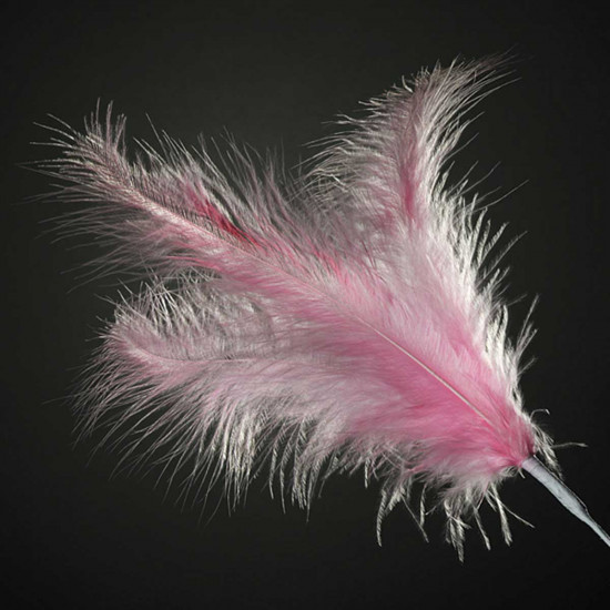 Club Green Feathers Spray Pale Pink x5