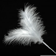 Feathers Spray Silver