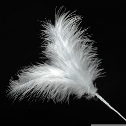 Feathers Spray Silver
