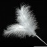Feathers Spray Silver