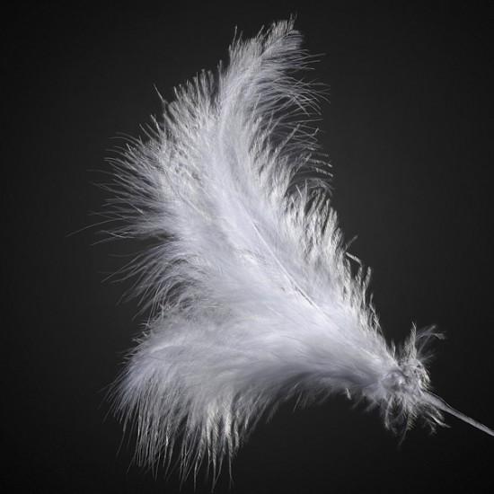Club Green Feathers Spray White
