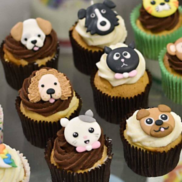 Culpitt Cats & Dogs Sugar Decs x8 Culpitt Cats & Dogs Sugar Decs x8