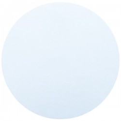 Masonite 4mm  Board Round 8" White