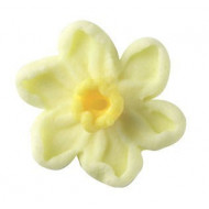 Sugar Decs Daffodil 17mm x20