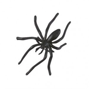 Spider Rings x24 Spider Rings x24