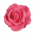 SugarSoft® Roses Bright Pink 50mm x10