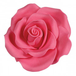SugarSoft® Roses Bright Pink 63mm x4