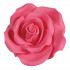 SugarSoft® Roses Bright Pink 63mm x4