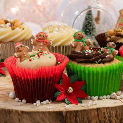 Sugar Gingerbread Family x24