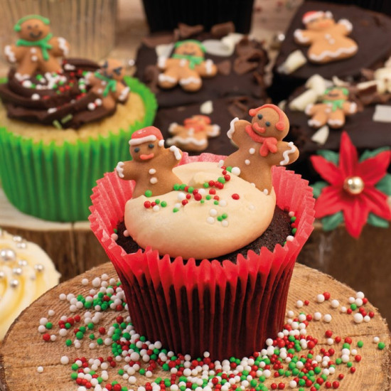 Sugar Gingerbread Family x24