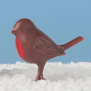Robin Robin