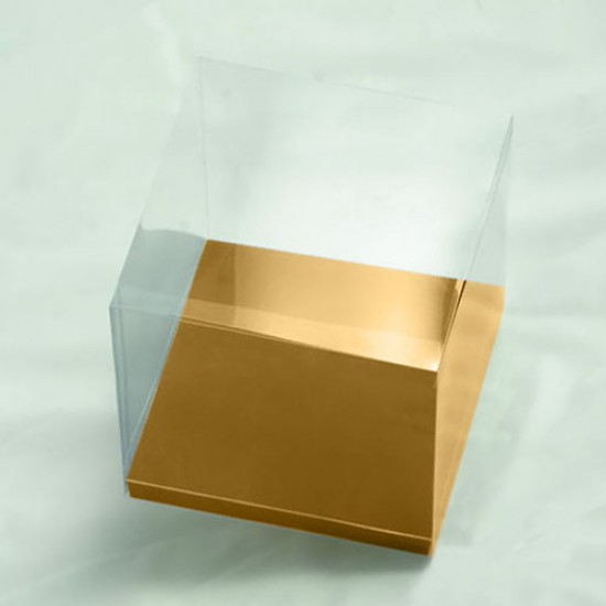 Club Green Cupcake Box Acetate x10 Gold