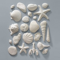 Gumpaste Seashells