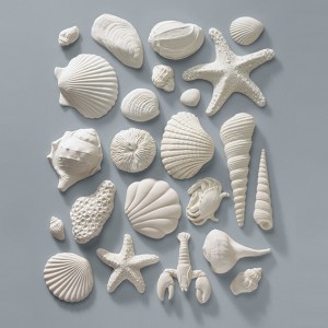 Gumpaste Seashells Gumpaste Seashells