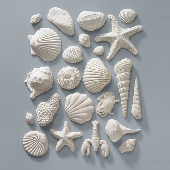 Decopac Gumpaste Seashells