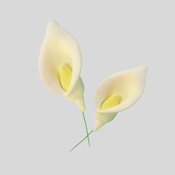 FMM Veined Arum Lily 3 Petal Cutter Set FMM Veined Arum Lily 3 Petal Cutter Set