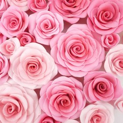 Easiest Rose Cutter Ever Set