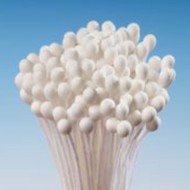 Stamens Medium White