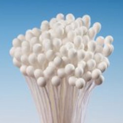 Stamens Medium White