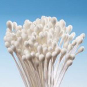 Stamens Small White