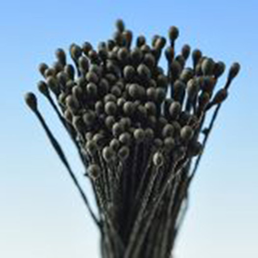 Hamilworth Stamens Small Black Hamilworth Stamens Small Black