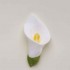 Cala Lily Head White Small