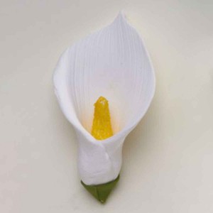 Cala Lily Head White Large Cala Lily Head White Large