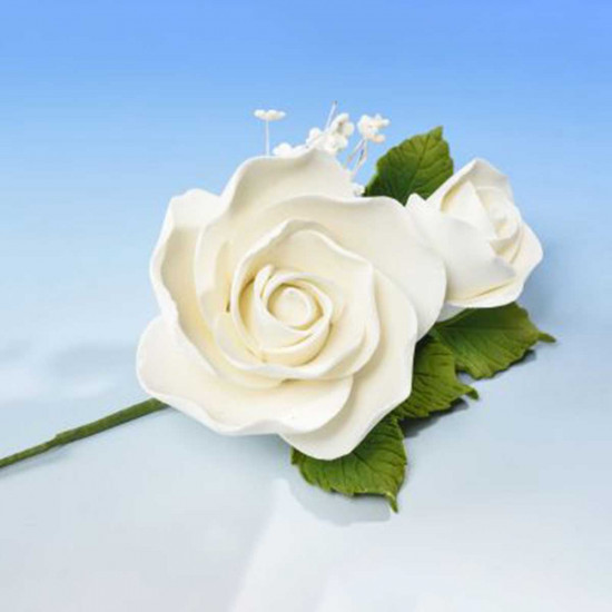 Hamilworth Open Rose x2 Spray Medium White