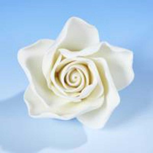 Open Rose White XSmall