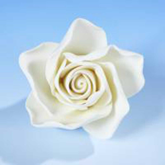 Hamilworth Open Rose White XSmall Hamilworth Open Rose White XSmall