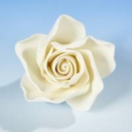 Open Rose Ivory Small