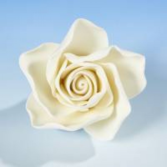 Hamilworth Open Rose Ivory Small