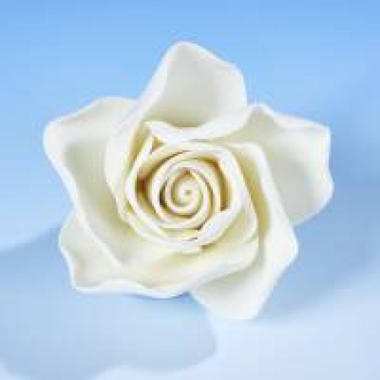 Hamilworth Open Rose White Medium